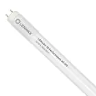 Ledvance LED Buis T8 Performance (HF) High Output 20W 3100lm - 865 Daglicht | 150cm - Vervangt 58W
