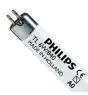 Philips MASTER Super 80 T5 Short 6W - 840 Blanc Froid | 21cm