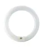 Osram T9 Lumilux Circline 22W - 840 Blanc Froid | 21.5cm