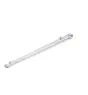 Philips Réglette LED Étanche Pacific WT490C 97W 15000lm - 840 Blanc Froid | 180cm 