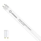 Ledvance Tube LED T8 Superior (EM/Direct 230V) Standard Output 5.1W 900lm - 840 Blanc Froid | 44cm - Équivalent 15W