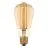 Ledvance Vintage 1906 LED E27 Edison Goud 5.8W 470lm - 822 Zeer Warm Wit | Dimbaar - Vervangt 40W